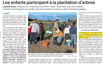 plantations